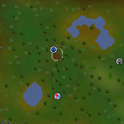 Isle of souls fairy ring : r/2007scape