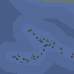 Special patches - OSRS Wiki