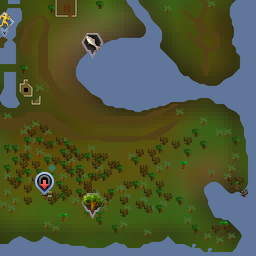 rs Life 2 Wiki