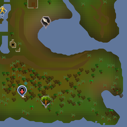 Agility - The RuneScape Wiki